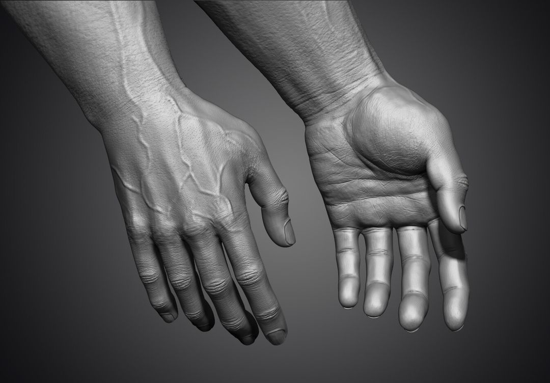Hands