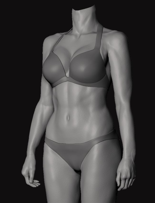 Anatomy study