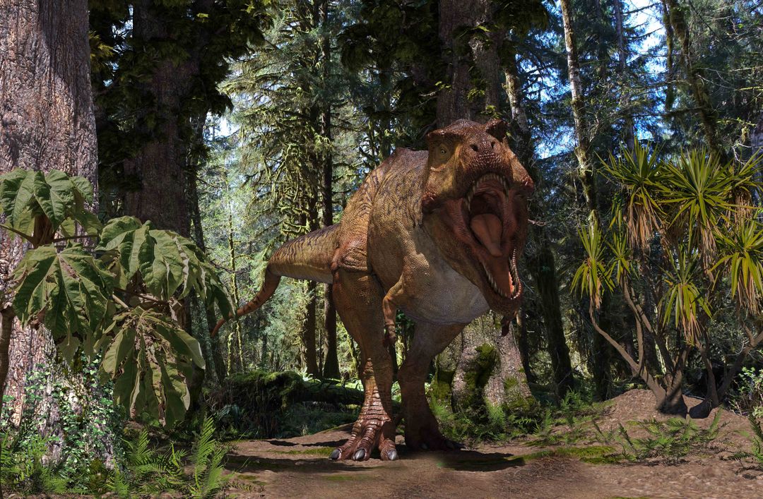 T Rex in forest