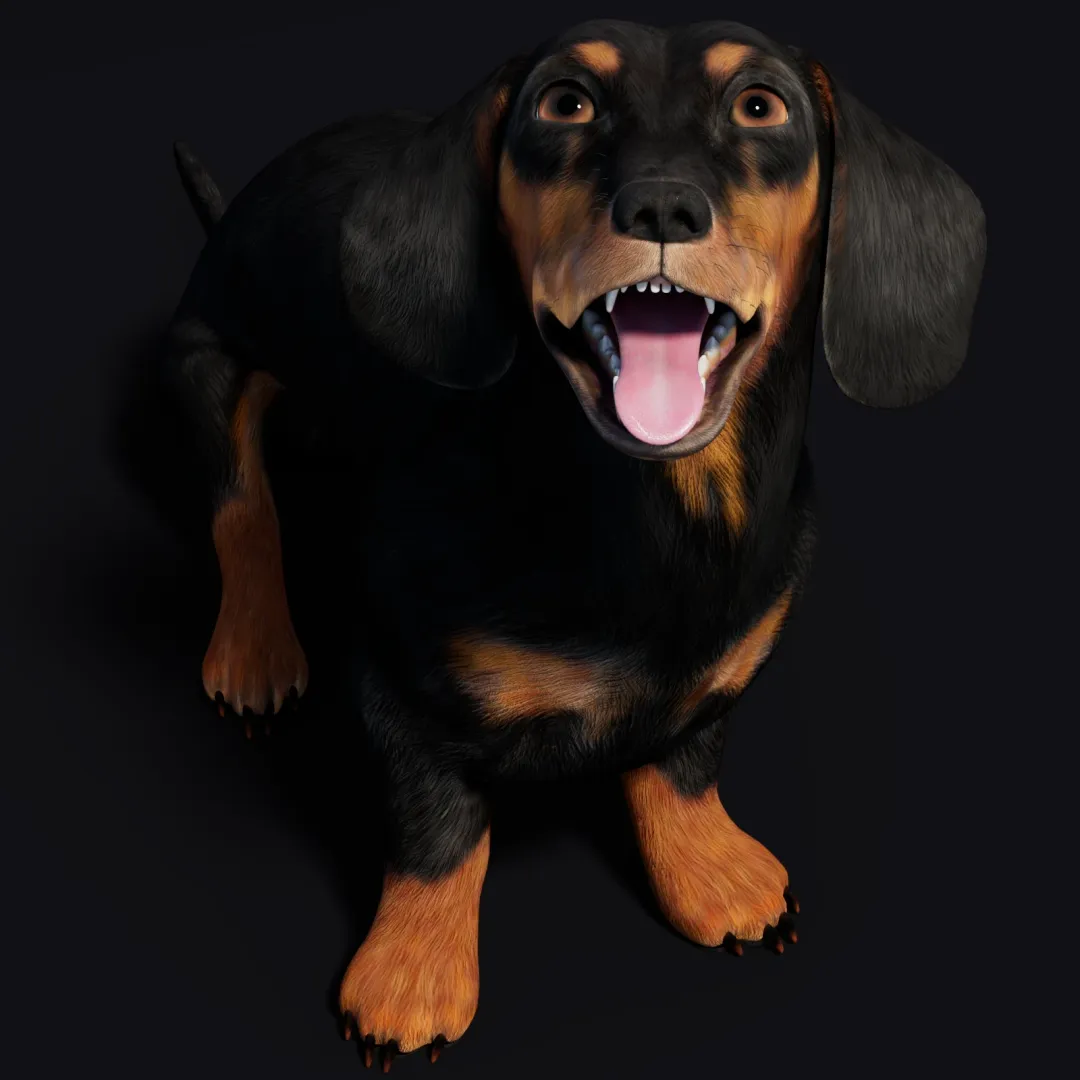 Rigged Black Dachshund Dog 3D Model | PROmax3D