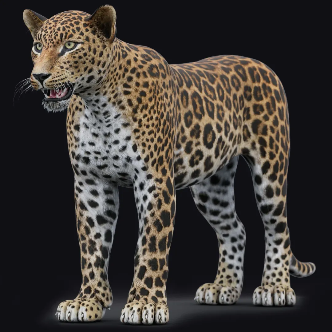 Leopard 3D Model | PROmax3D