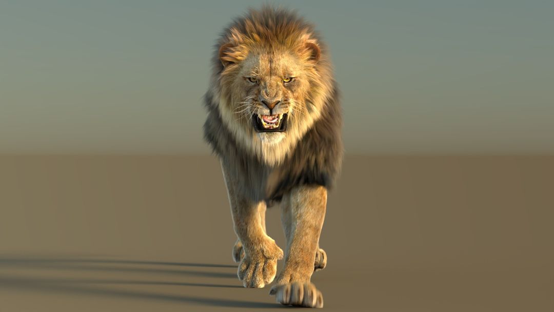 Animated Lion 3D Model with Fur | PROmax3D