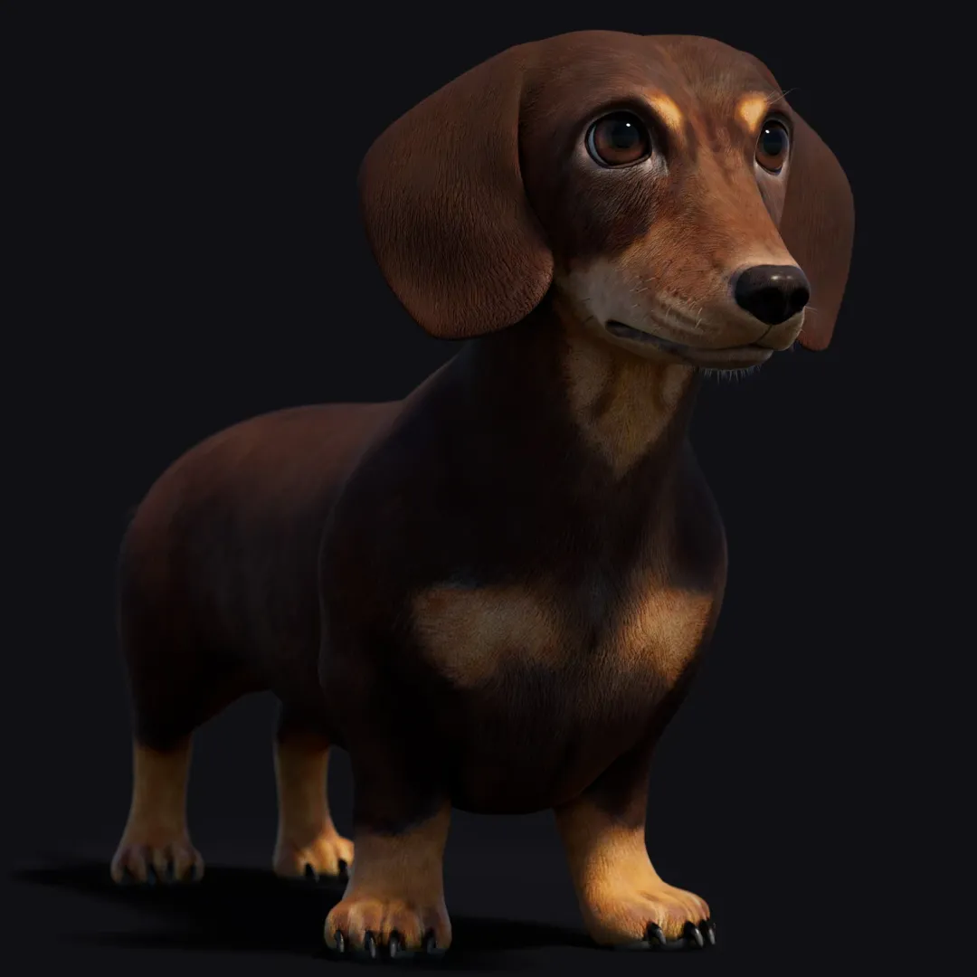 Dachshund Dog 3D Model | PROmax3D