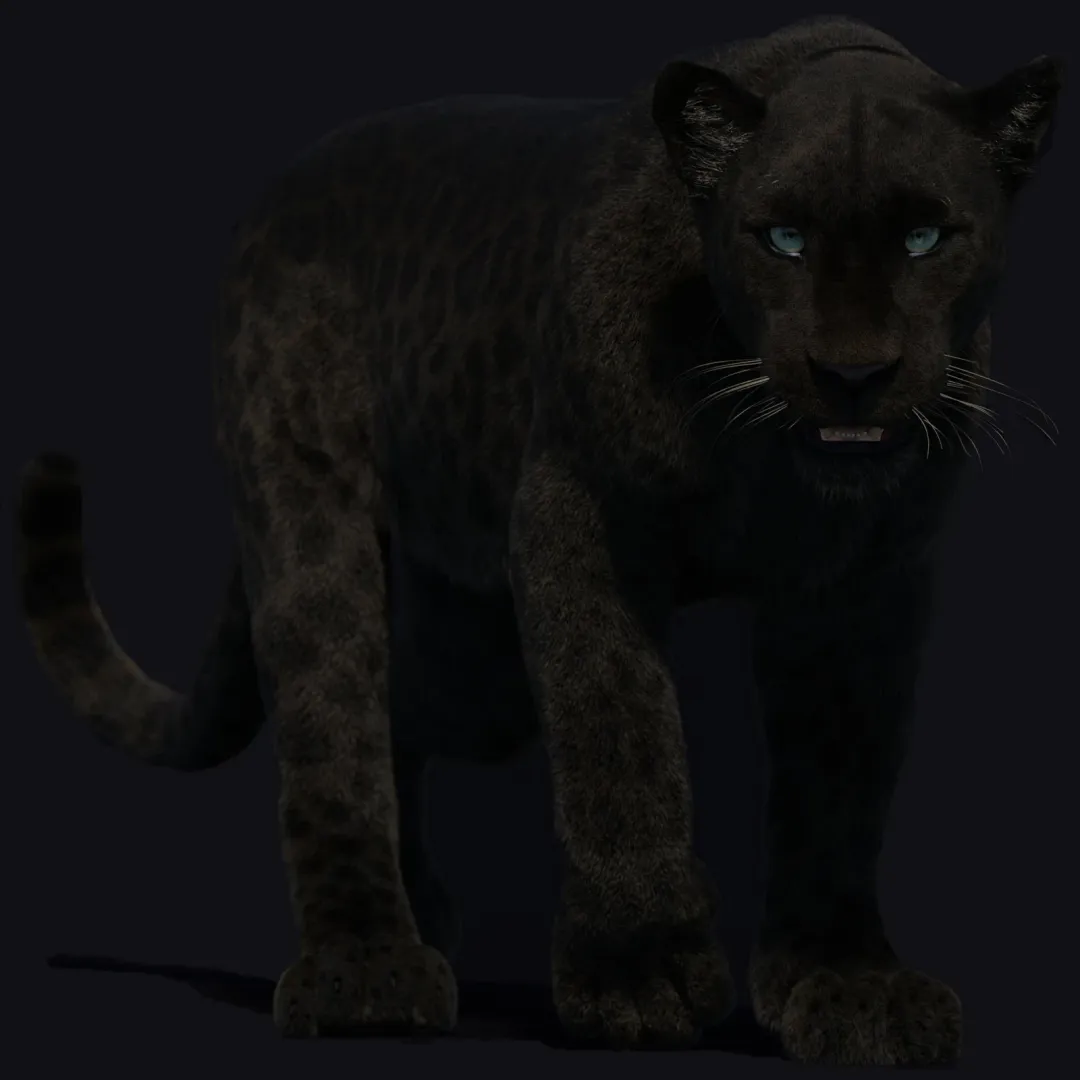 Animated Black Panther 3D Model with Fur