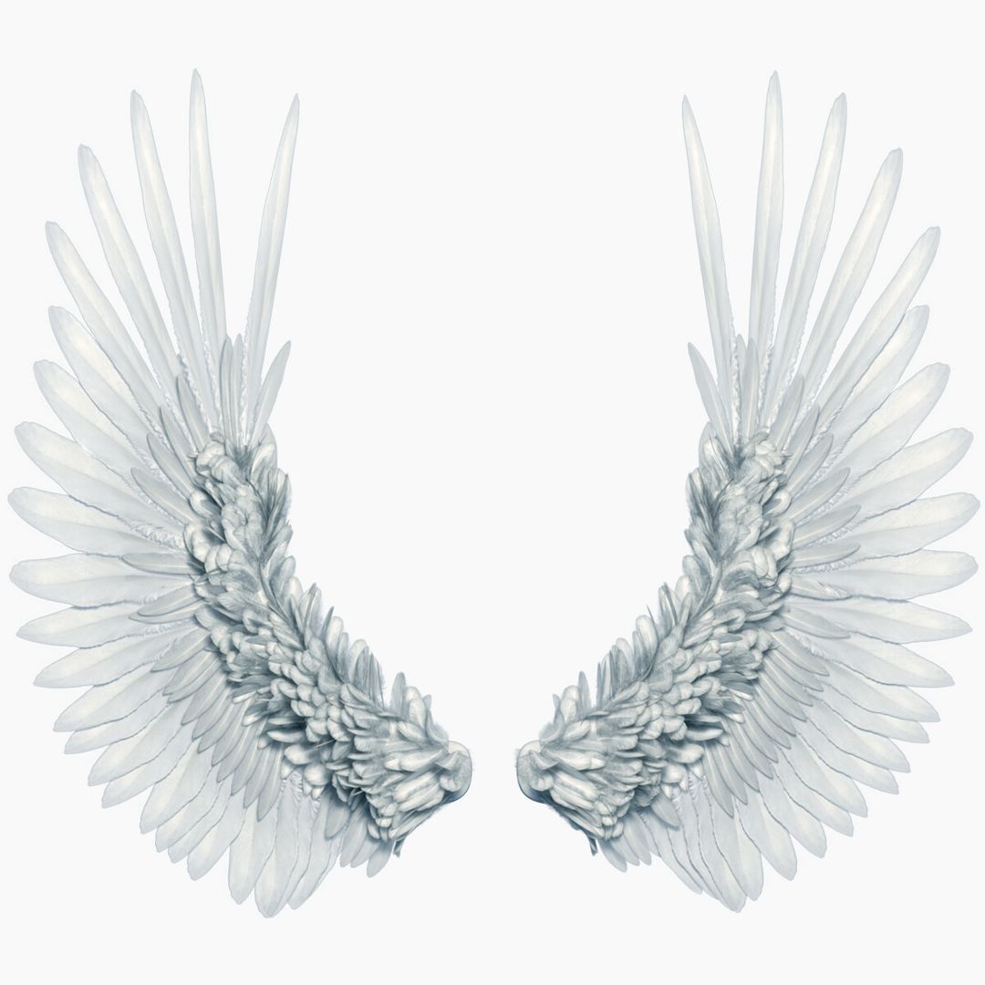 3d angel wings