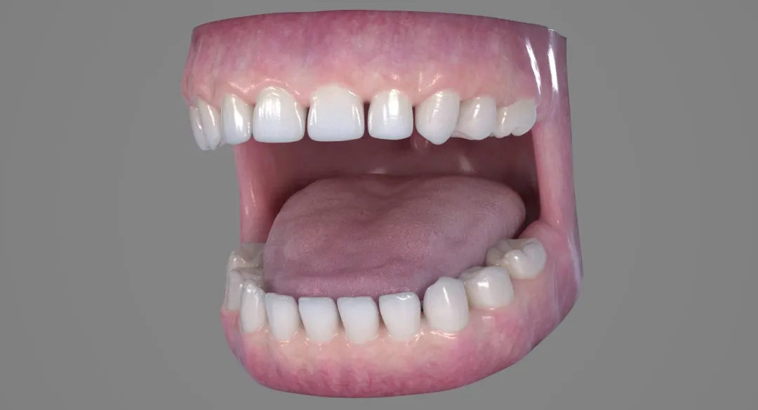 Realistic 3D Rigged Model of a Baby/Child mouth