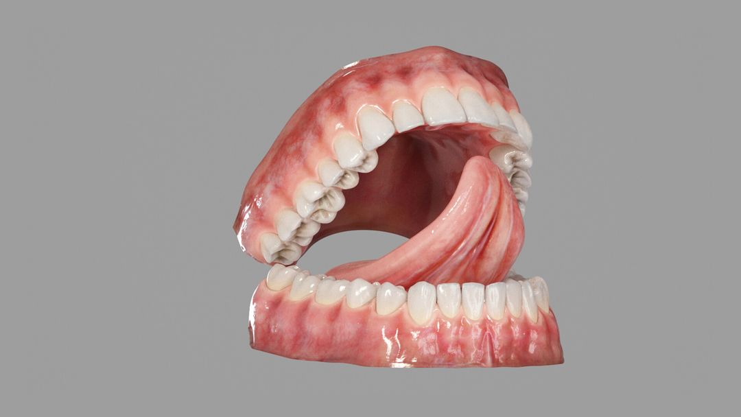 3D realistic mouth
