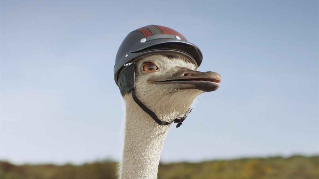 Ostrich | 3D Creature Modelling