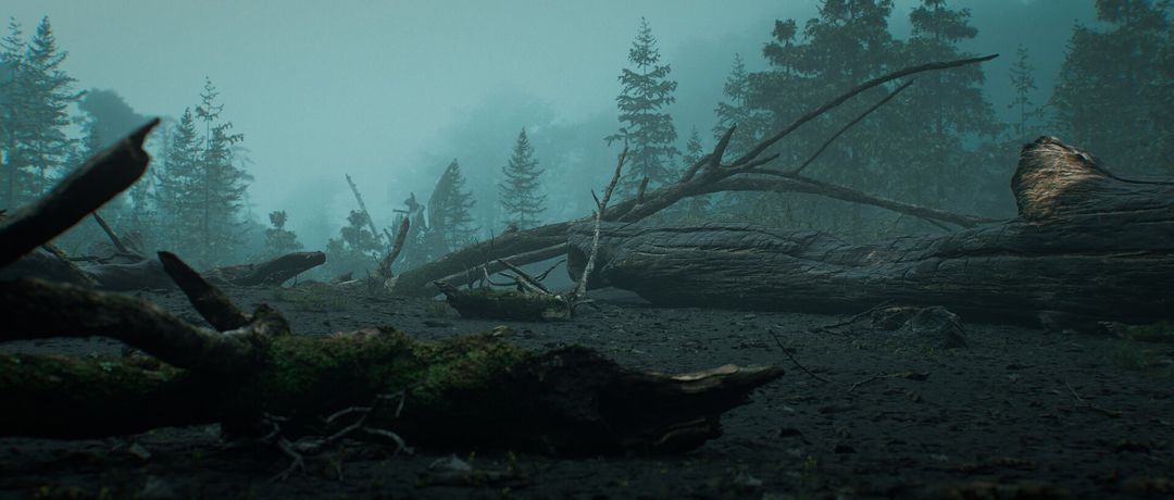 Environment - Look Dev 02 (Impetus Animation)