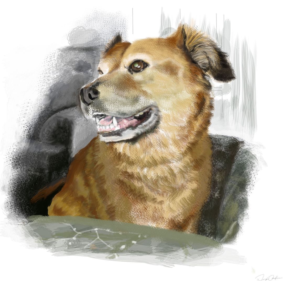 Digital pooch