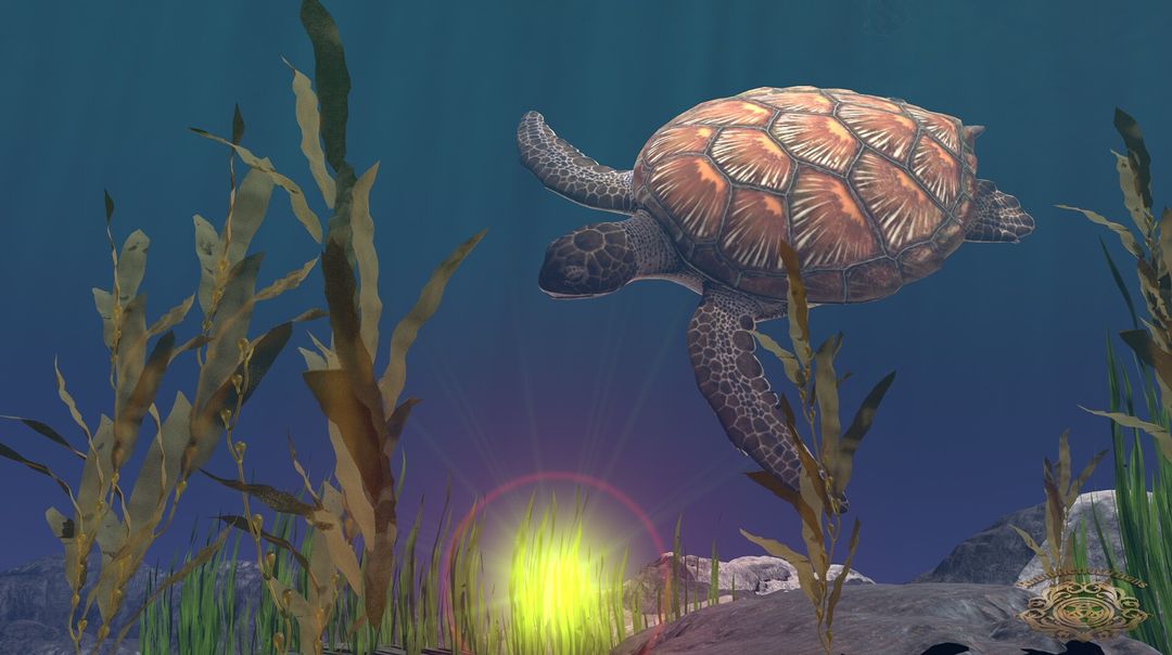 Sea Tortoise