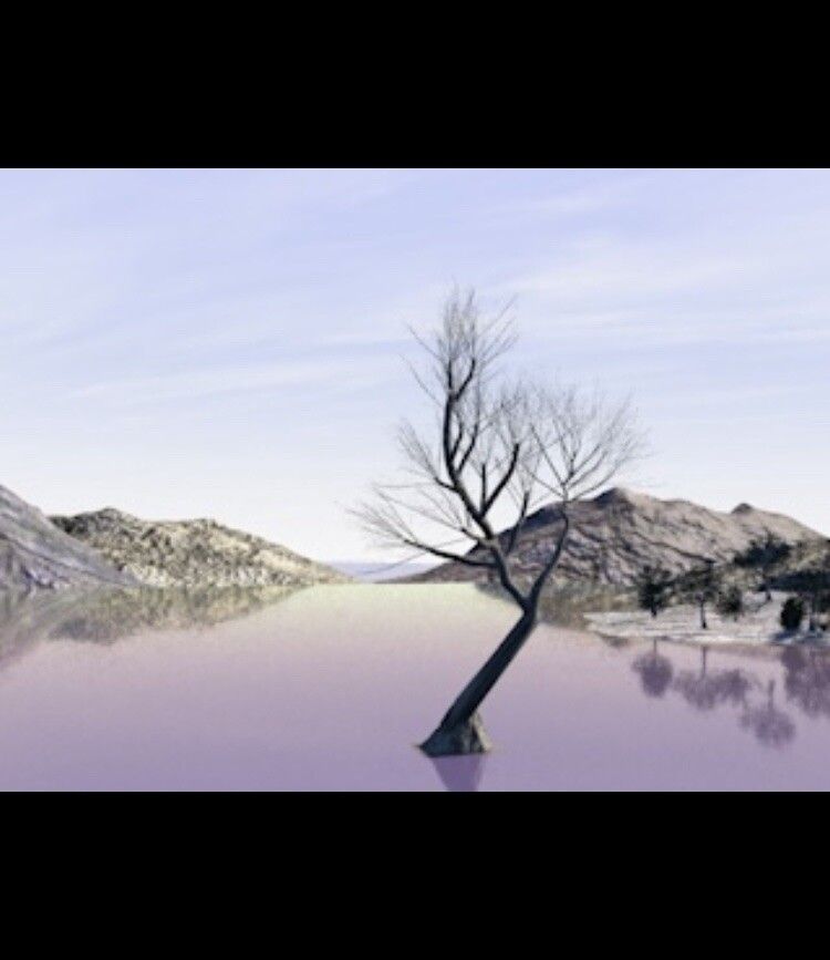 Lone Treee