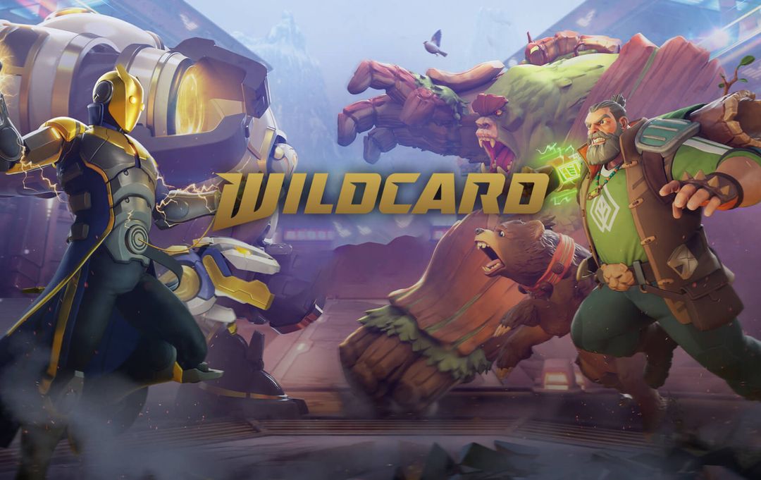 Wildcard