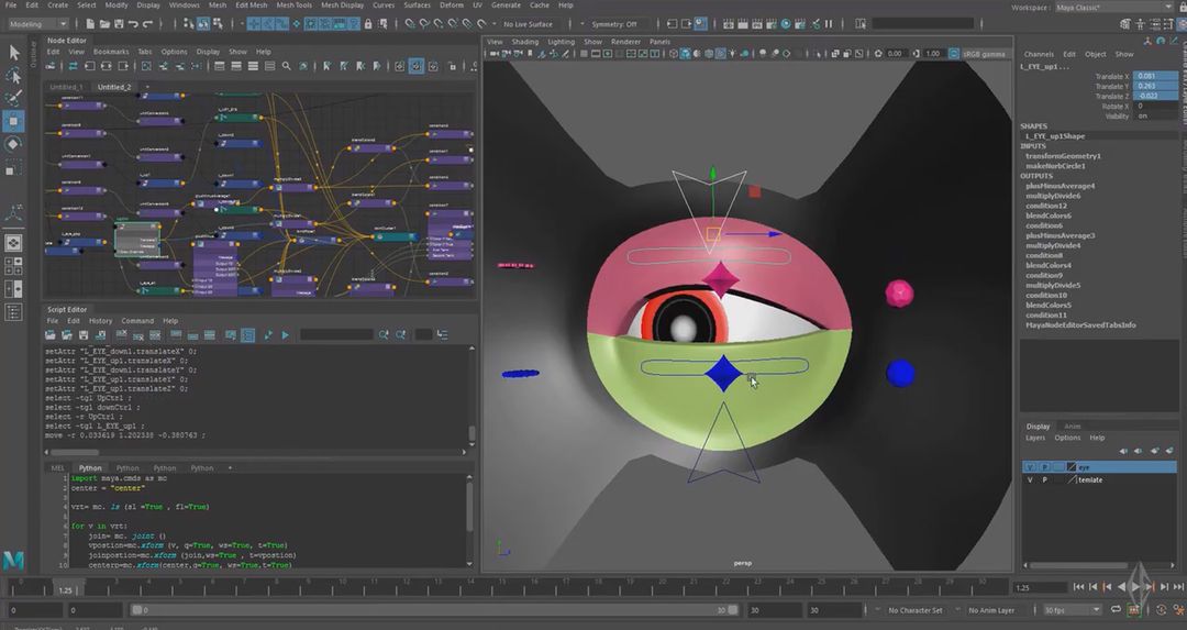 Advanced Techniques in Eye Riggin