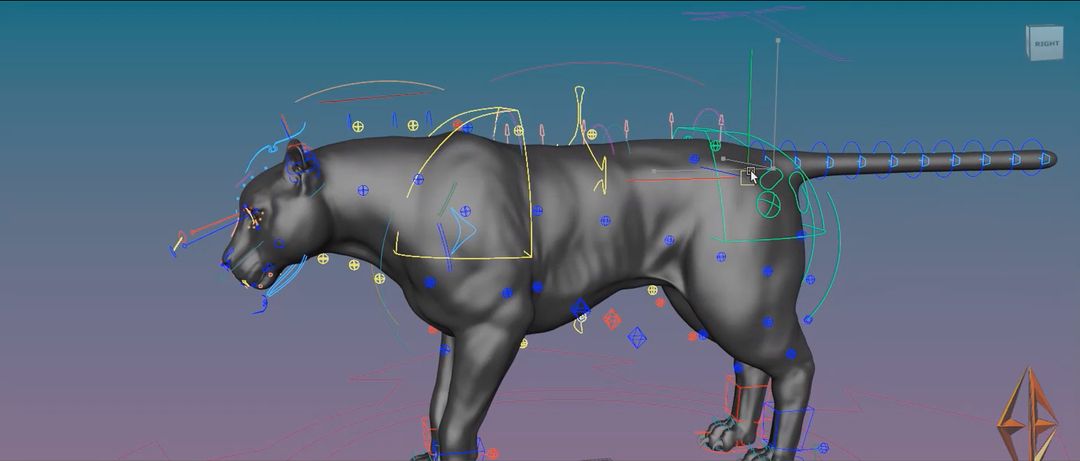 A highly flexible, joint-based Black Panther rig by Farid M.