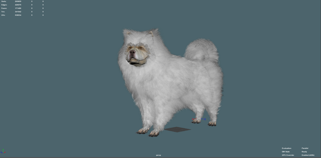 Creating a dog rig in Maya.