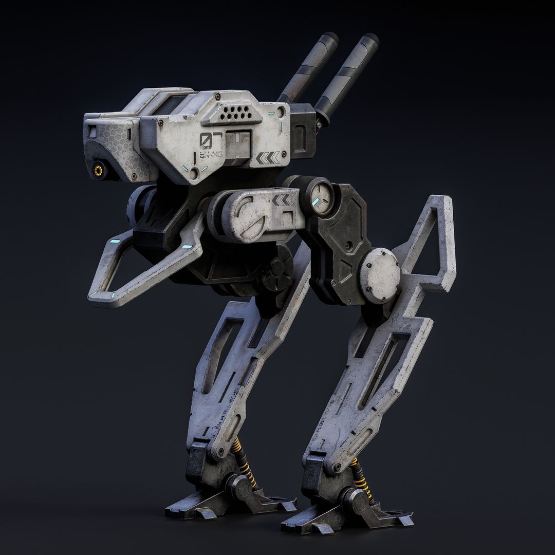 Mr. Robo