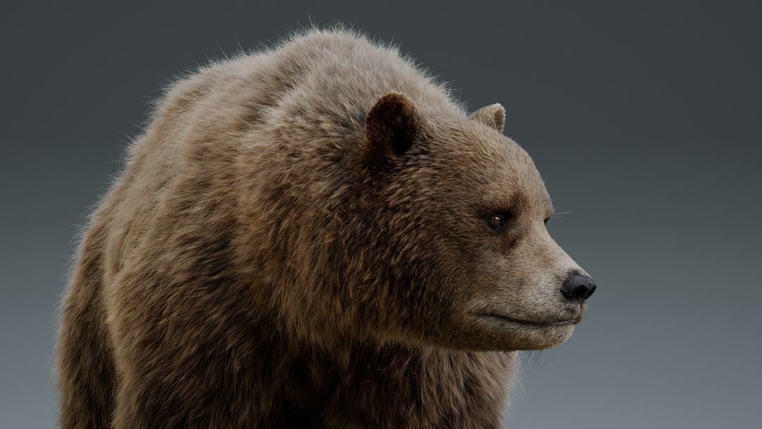 Bear by Creative C.