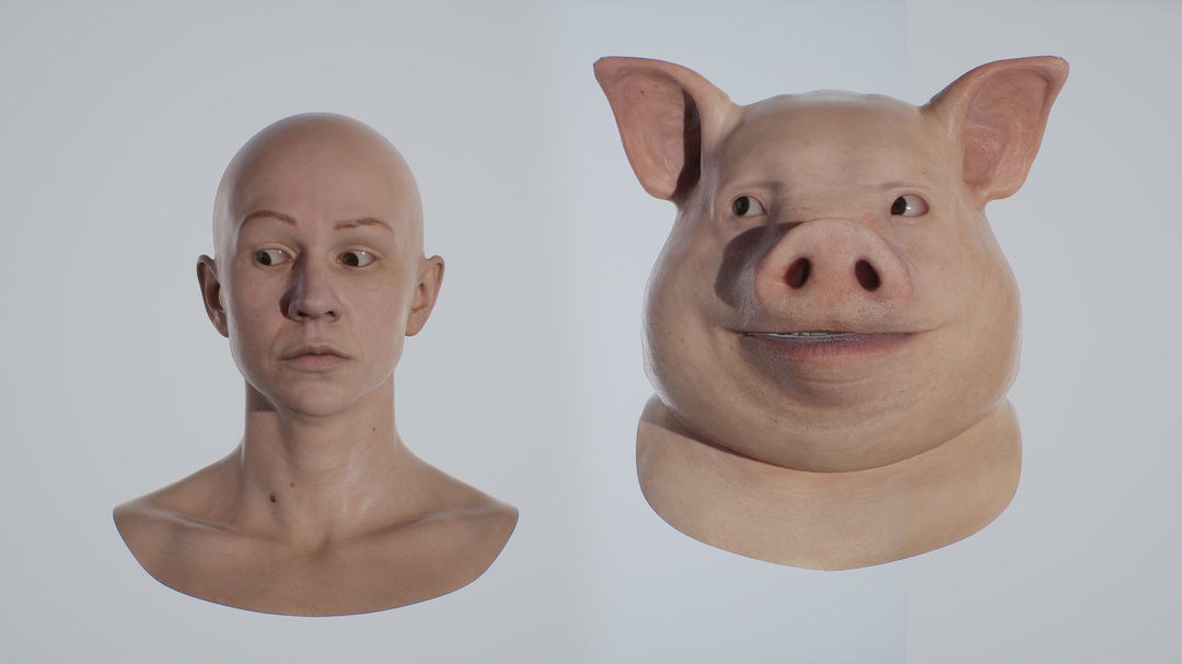 2DNAC Character blend