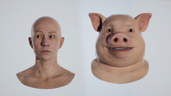 2DNAC Character blend