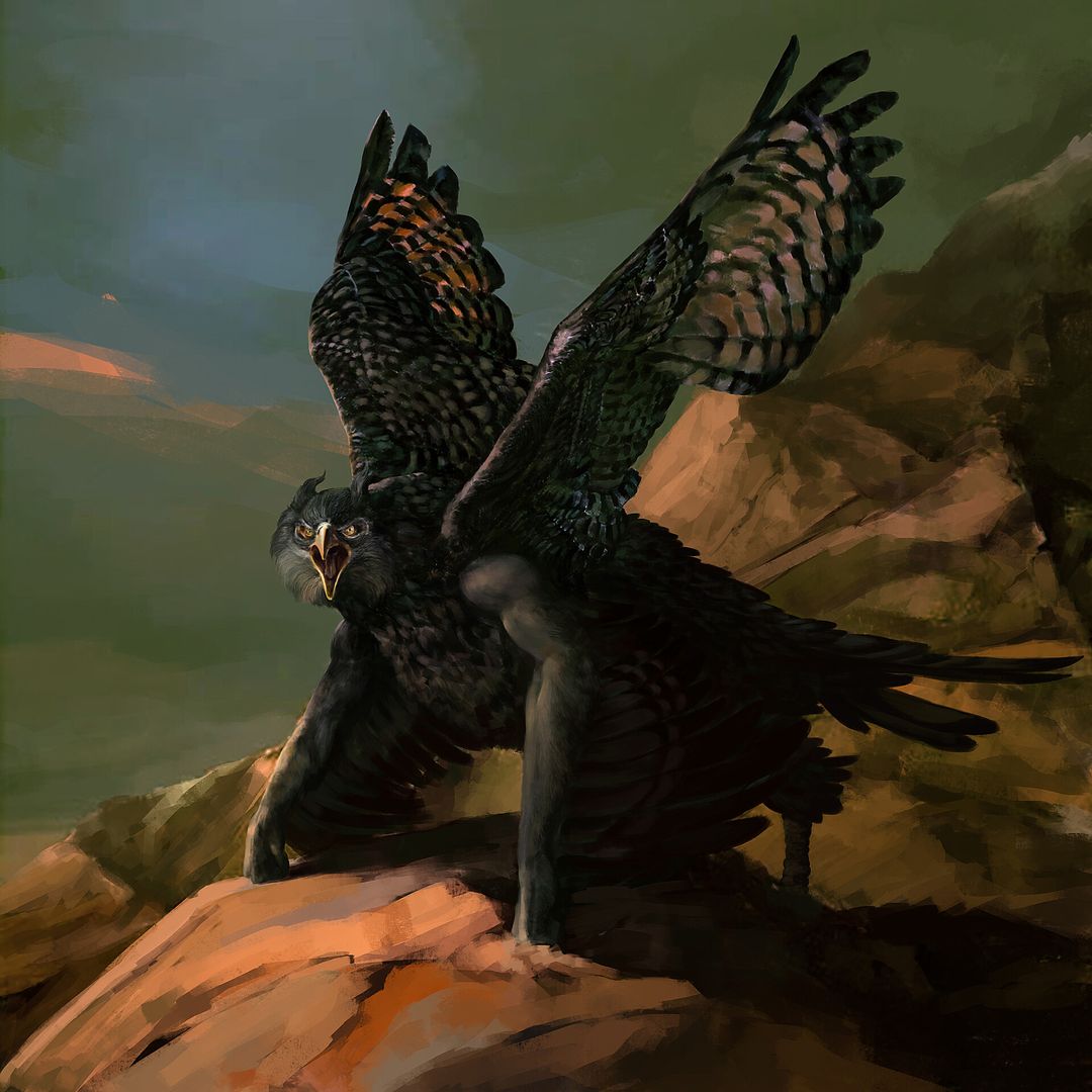 The Owl