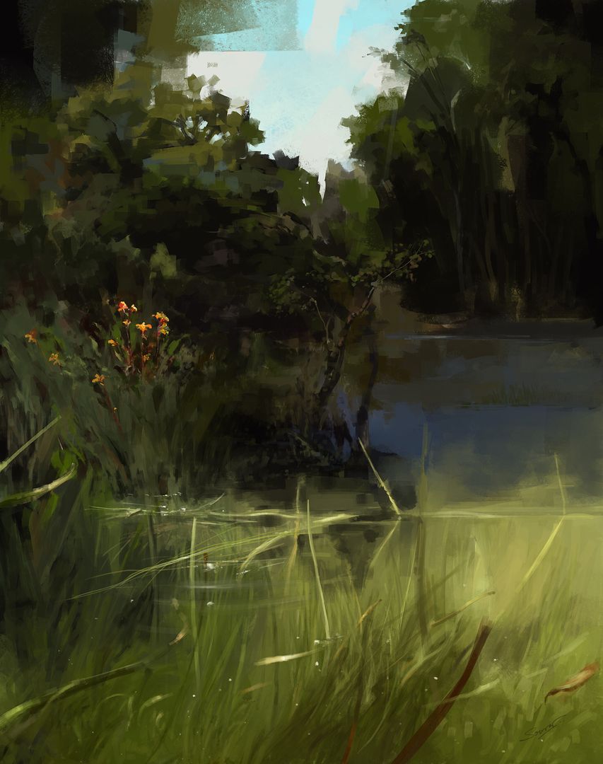 A gloomy afternoon leaning over a pond