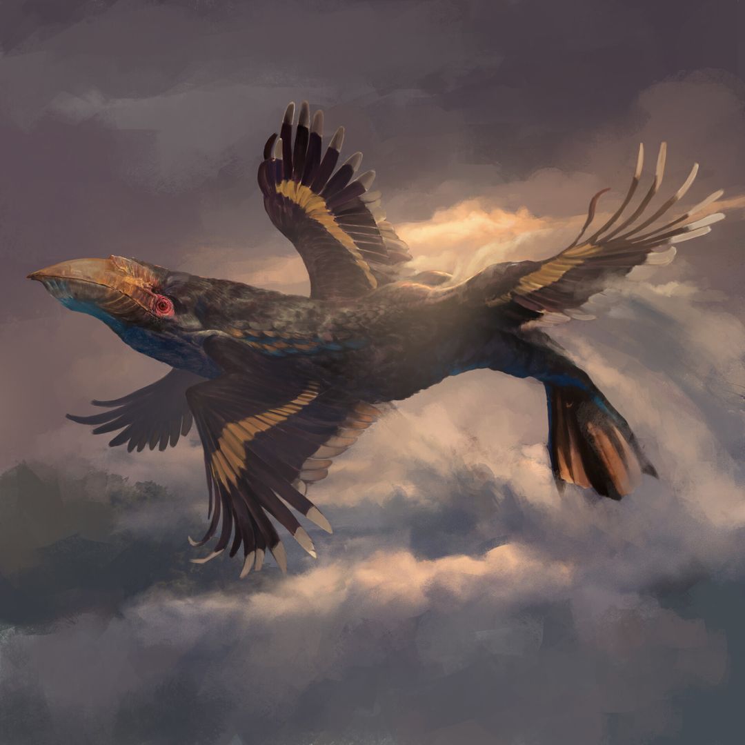The Sky Whale