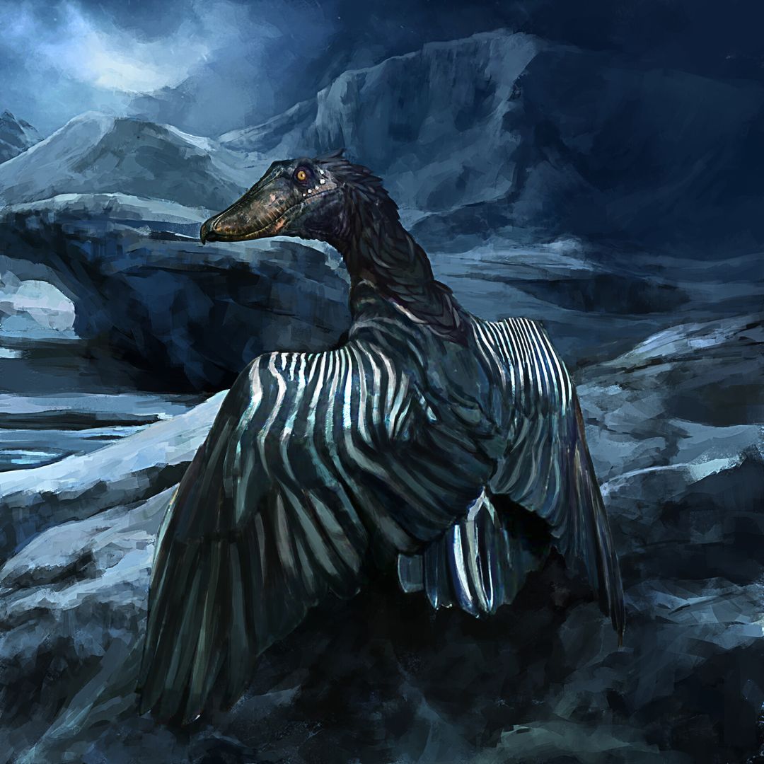 The zebra shoebill