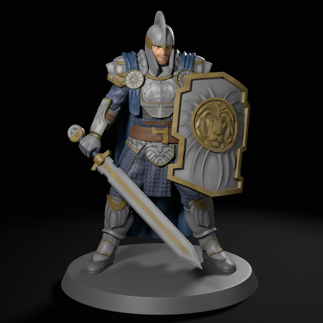 Paladin - Miniature