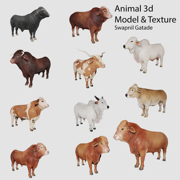 Cattle breed 3D Project Unreal Engine