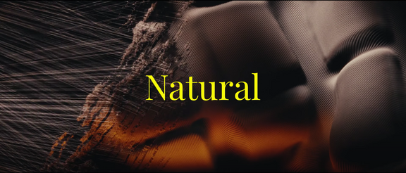 DNA - The Lotus Theory