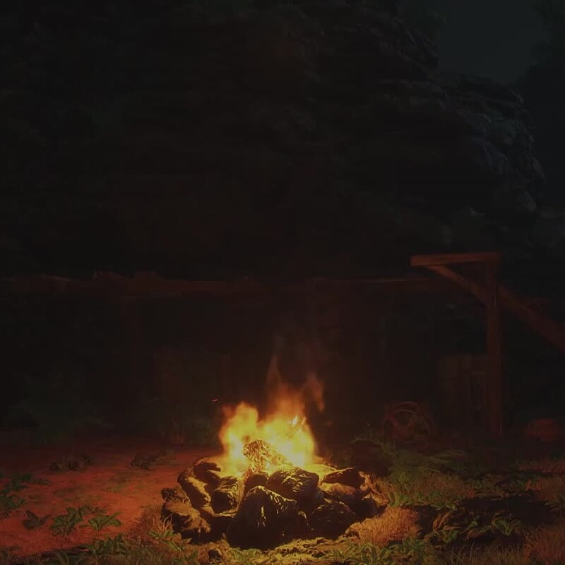 Camp Fire