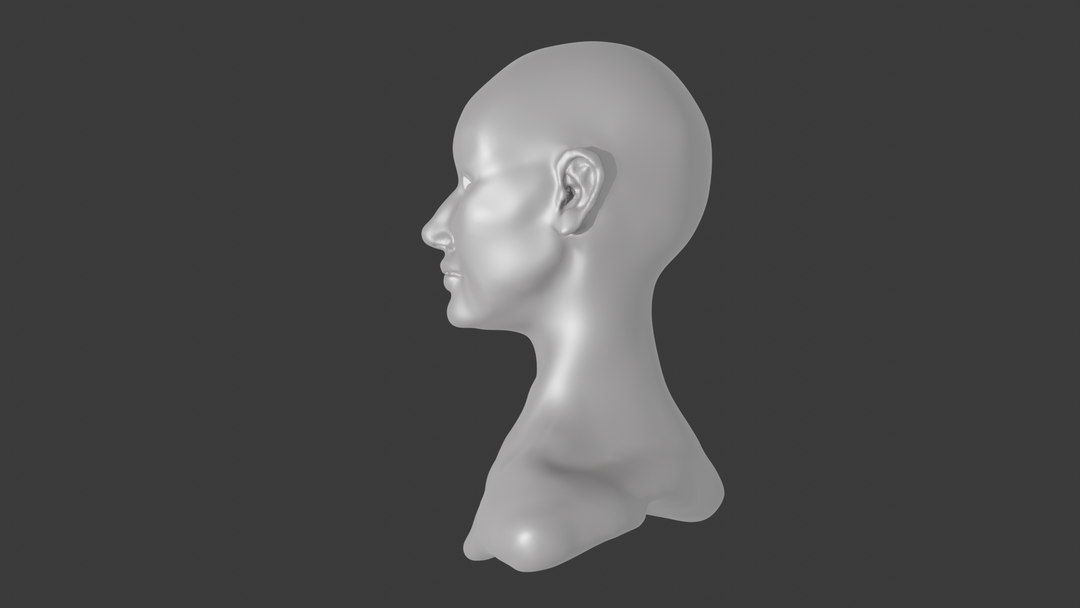 female head sculpting