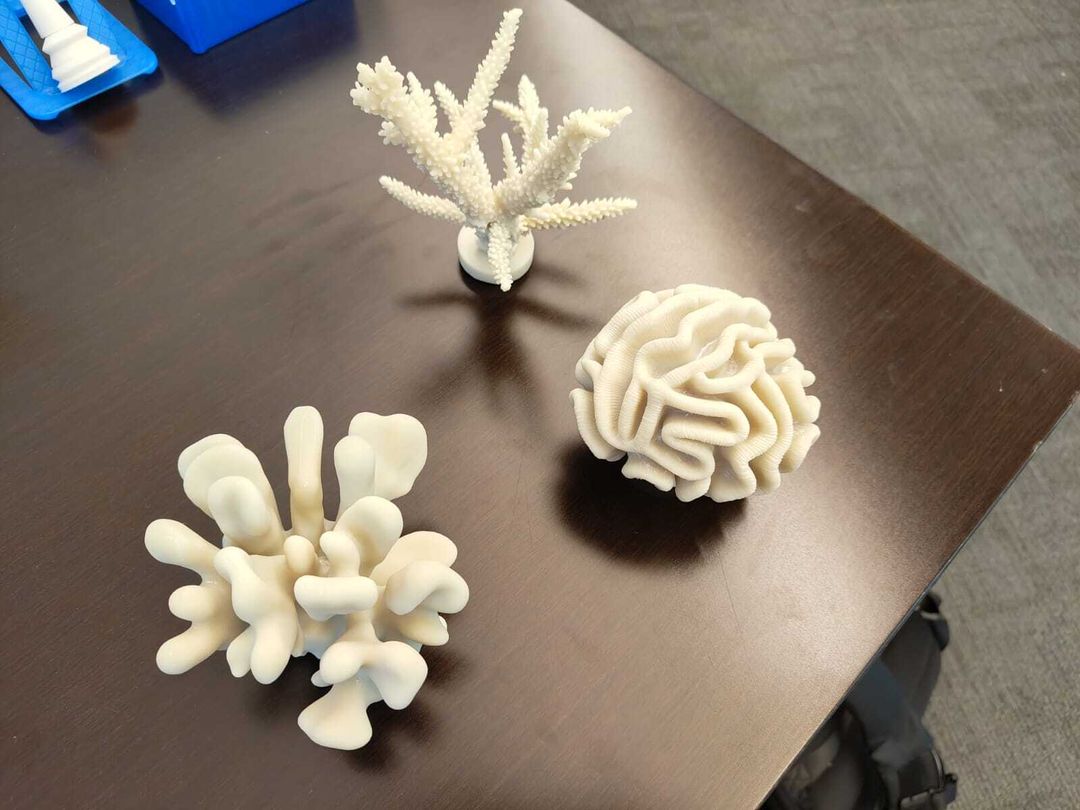 3D printed corals