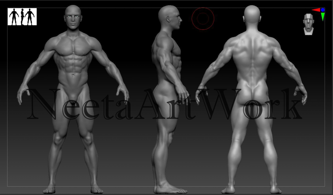 3D Male and Female Character Sculpting in ZBrush by Vidhi G.