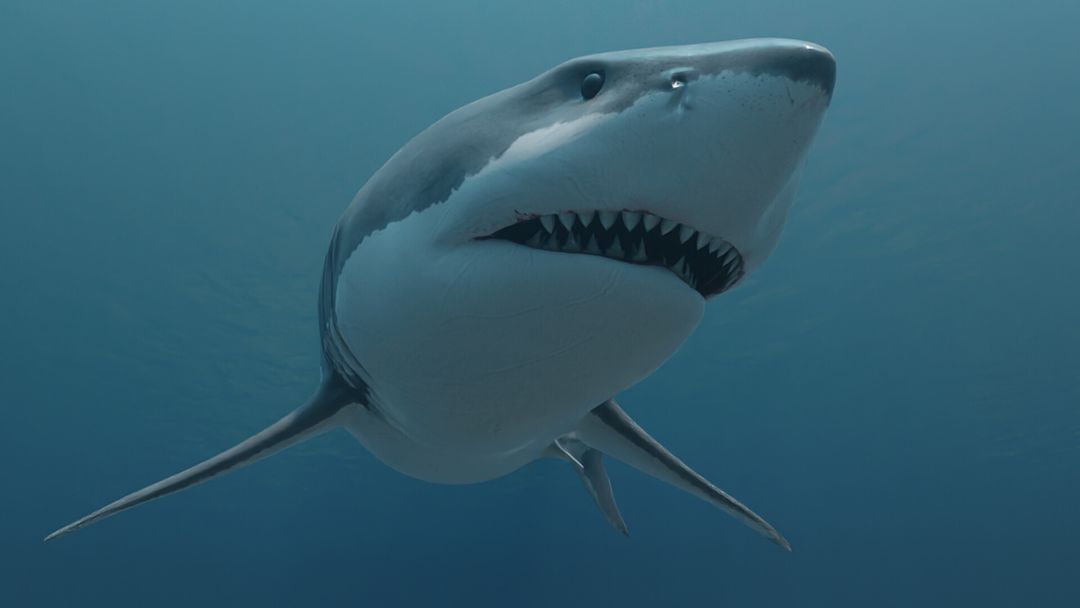 Real time under water simulation