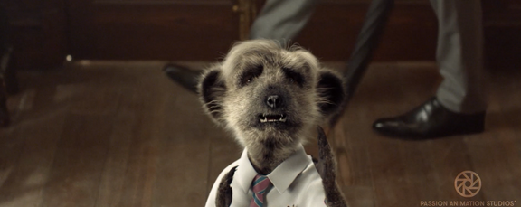 MEERKAT_COMMERCIALS_PassionPictures1