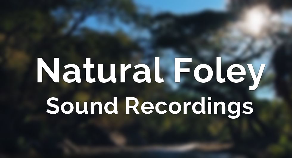 Foley Sound Recordings by Hasan T.