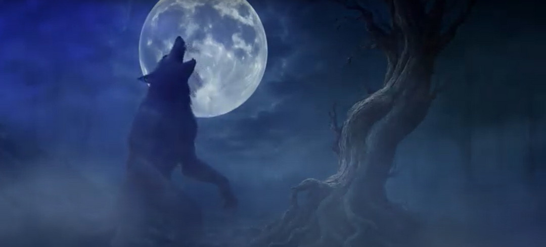 Official Entry: Zepstone International Film & Music Festival (2025)