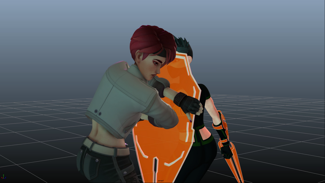 Animation Fight Scene