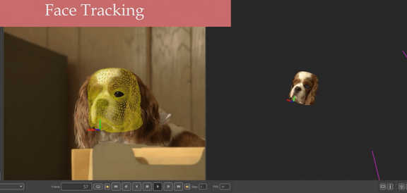 Dog Character Animation