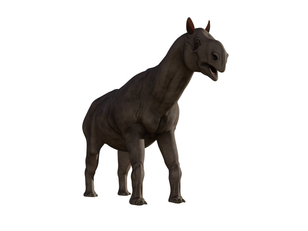 Paraceratherium 3D Model