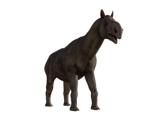 Paraceratherium 3D Model