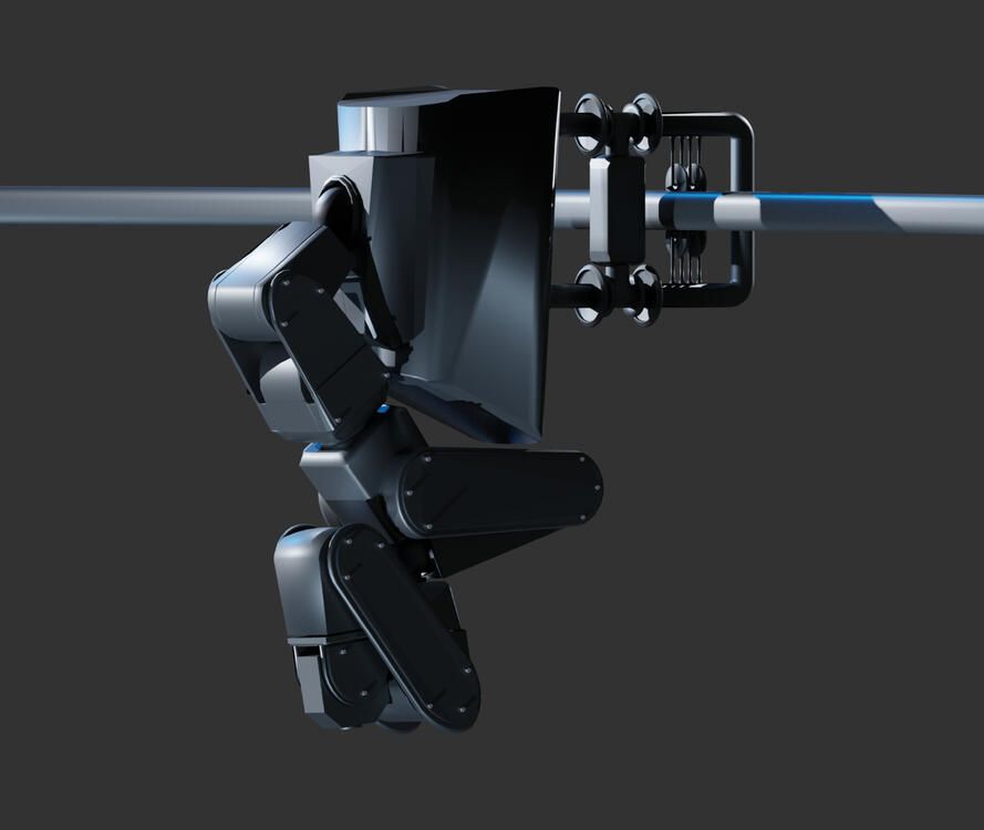 3D: modelling, sculpting, materials, rigging and lighting