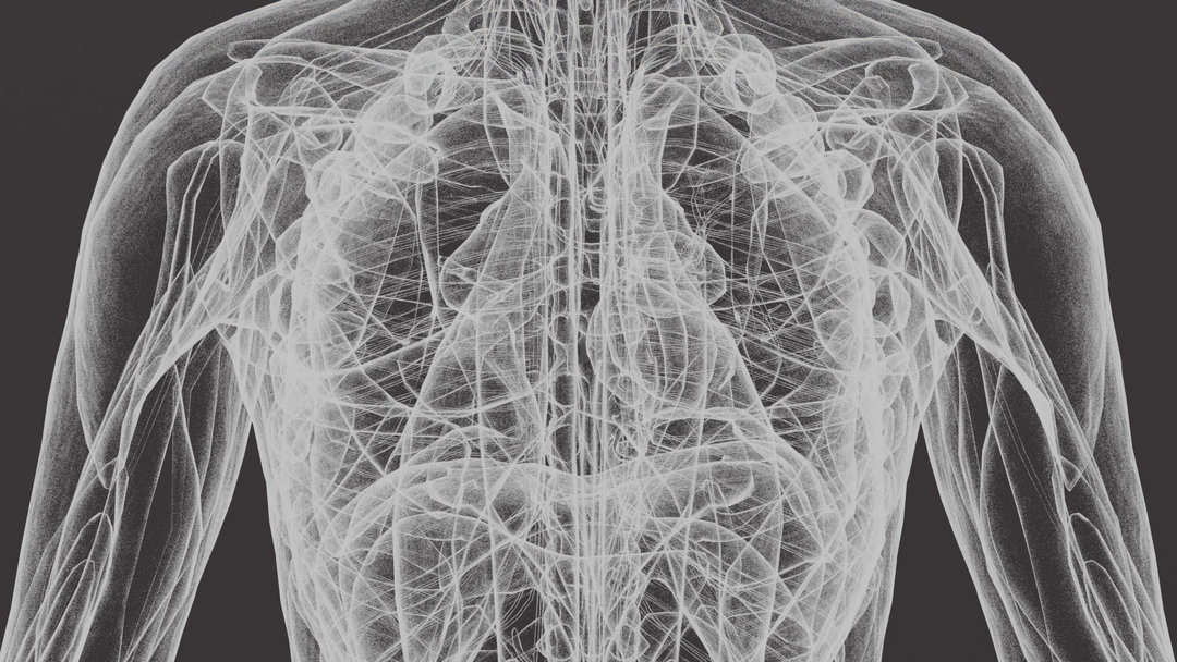 3D Medical Animation