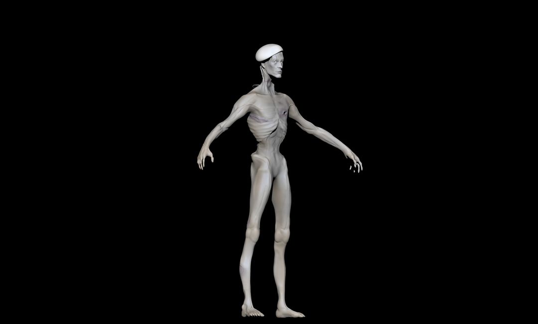 Anatomy Practice sculpt