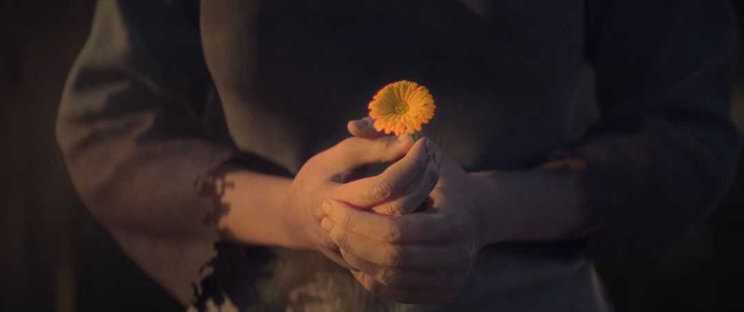 Samodreza by Milos N.