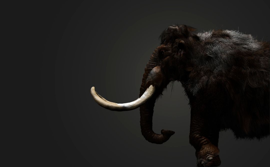 Mammoth