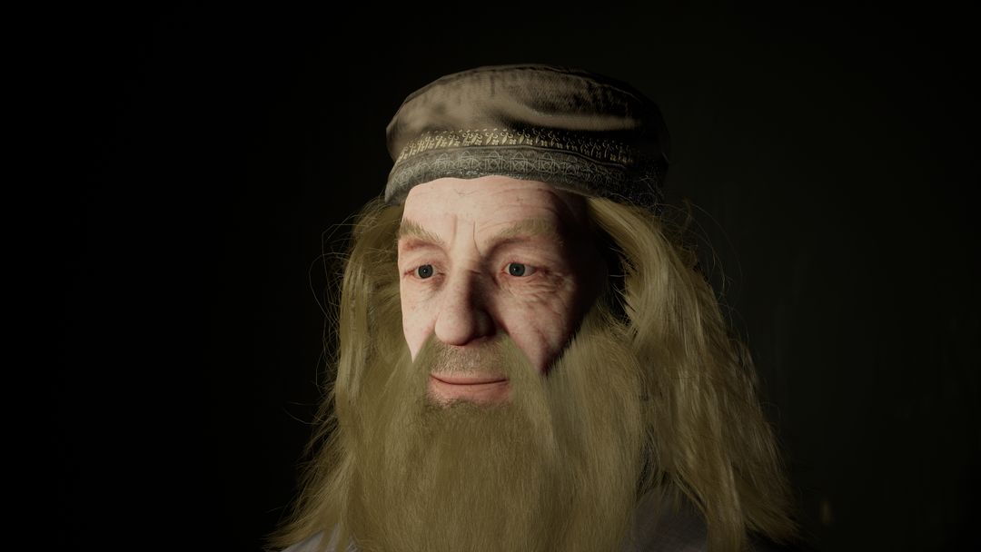 3d Dumbledore