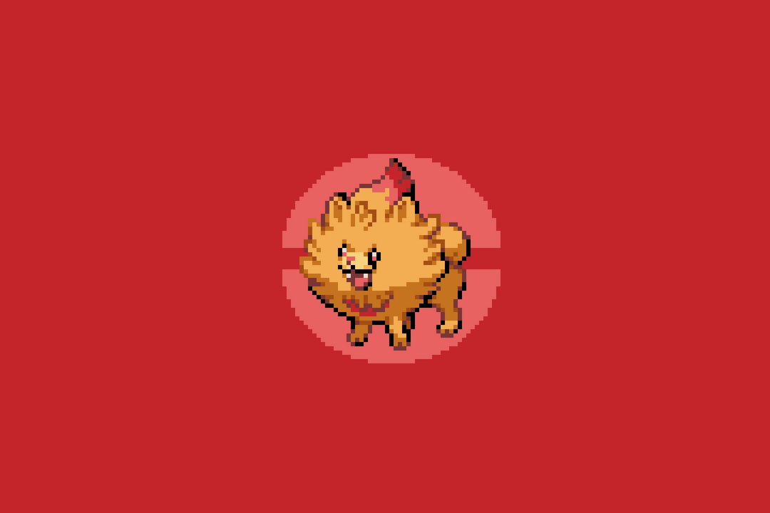 Pombon 🔥